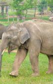 Туры в отель Longemont Zoo Hotel