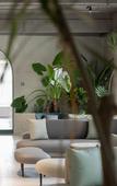 Туры в отель The  Ananas Hotel (Greenlake Branch)