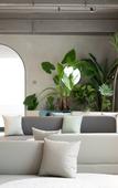 Туры в отель The  Ananas Hotel (Greenlake Branch)