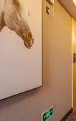Туры в отель shankee Hotel (Chengdu University store, Shiling Town)