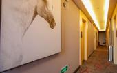 Туры в отель shankee Hotel (Chengdu University store, Shiling Town)