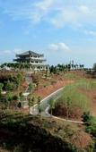 Туры в отель Shankee Hotel (Anyue Ningdu Avenue)