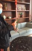 Туры в отель METEORLAND Hotel (Shaoshan Former Residence Scenic Area)