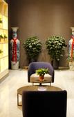 Туры в отель Shankee Hotel (Xuzhou Jiawang Biantang Town)