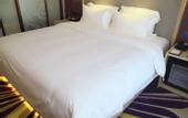 Туры в отель Lavande Hotel (Wuhan Guanggu Pedestrian Street ,Huake MTR Station)
