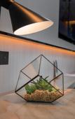 Туры в отель Echarm Hotel (Changsha High-speed South Railway Station, Convention and Exhibition Center)