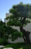 Туры в отель Fairfield by Marriott Guiyang Guanshanhu