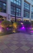 Туры в отель Kyriad Hotel (Luoyang Longmen high-speed railway station Branch)