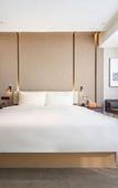 Туры в отель Atour Hotel(Wuhan Zhuankou Dongfeng Avenue Sports Center Store)