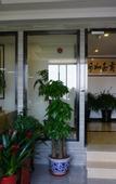 Туры в отель Jinzi Business Hotel