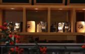Туры в отель City Comfort Inn Hotel (Tai'an Taishan Tianwai Village)
