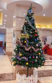 Туры в отель Vienna Classic Hotel (Shenzhen Pingshan Bihu)