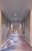 Туры в отель Vienna International Hotel (Tianjin Meijiang Convention and Exhibition Center)