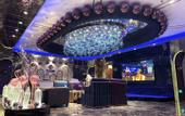 Туры в отель Venus Royal Hotel (Guangdong Zhongshan Dongfeng Center Hotel)