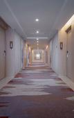 Туры в отель Vienna International Hotel (South Gate of Shenzhen International Convention and Exhibition Center)