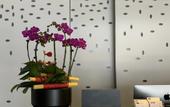 Туры в отель Hampton by Hilton Yiwu International Trade Market