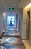 Туры в отель Vienna Hotel(Chengdu University of Petroleum Subway Station)
