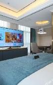 Туры в отель XANA Deluxe Hotel (Tianjin Friendship Wuqing Department Store Florence Town Area)