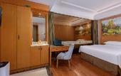 Туры в отель Vienna Hotel (Shantou Chaonan Station Branch)