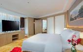 Туры в отель Vienna Hotel (Kunming Railway Station Guanjinggu Store)