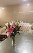 Туры в отель Jujin Hotel