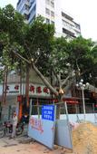 Туры в отель Xingangcheng Hotel