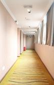 Туры в отель Purui Business Hotel