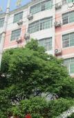 Туры в отель Changee Hotel (Fuzhou Nancheng Xunjiang North Avenue)