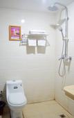 Туры в отель City Comfort Premier Hotel (Huizhou Zhongkai Avenue)