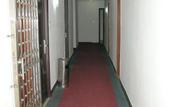 Туры в отель Hongxing Hotel