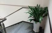 Туры в отель Hongxing Hotel