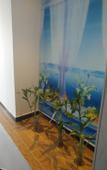 Туры в отель 99inn Selected Youxuan Hote