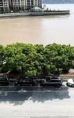 Туры в отель Hanxuan Hotel