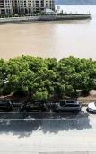 Туры в отель Hanxuan Hotel