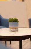 Туры в отель GreenTree Inn(Shanghai Minhang Jindu Road )