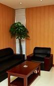 Туры в отель GreenTree Inn(Shanghai Minhang Jindu Road )