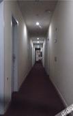 Туры в отель Kelinning Chain Hotel (North Gate of Shandong University of Science and Technology)
