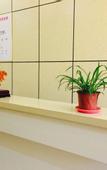 Туры в отель Shell Hotel (Jinan Diao Town Central Street)