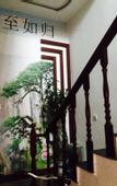 Туры в отель Shell Hotel (Jinan Diao Town Central Street)