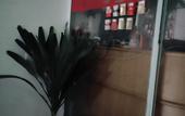 Туры в отель Hexiang Hotel