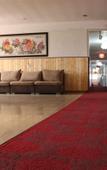Туры в отель Shengji Business Hotel
