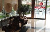 Туры в отель Congjiang Longteng Hotel