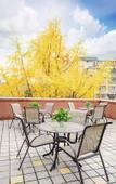 Туры в отель Chang chun Garden Hotel (Chengdu Shuangliu International, Dongsheng Town)
