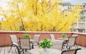 Туры в отель Chang chun Garden Hotel (Chengdu Shuangliu International, Dongsheng Town)