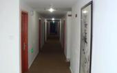 Туры в отель Xingtian Hotel
