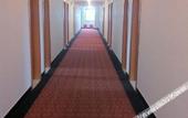 Туры в отель Xingtian Hotel