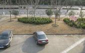 Туры в отель Xingtian Hotel
