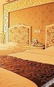 Туры в отель Chengdu Xinghaohong Garden Theme Hotel