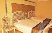 Туры в отель Chengdu Xinghaohong Garden Theme Hotel