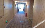 Туры в отель Chengdu Xinghaohong Garden Theme Hotel